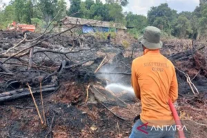 Karhutla Klaten: 43 Kejadian, 39.1 Hektare Terbakar