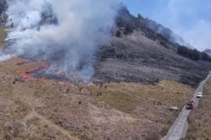 Kebakaran Gunung Bromo Meluas Hingga 520 Hektare: Apa Faktor yang Mempengaruhinya?