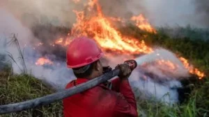 Kebakaran Lahan di Ogan Ilir: Apa Faktor Utama dan Cara Mengatasinya?
