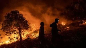Kebakaran Melanda 30 Hektar Gunung Rinjani: Apa yang Terjadi?