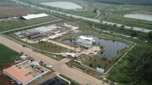 KEK Batang Dijadikan Model Eco Industrial Park untuk Pengurangan Emisi Gas Rumah Kaca