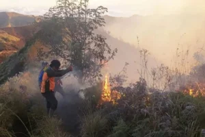 Mengapa Masyarakat Harus Menghindari Bermain Api di Kawasan Hutan Bromo?
