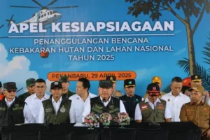 Menko Polkam: Operasi Darat untuk Kendalikan Karhutla