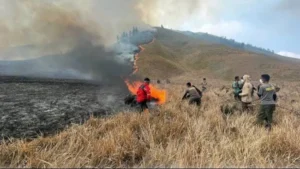 Penanganan Kebakaran Kawasan Wisata Bromo Membutuhkan Strategi Terpadu