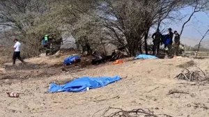 Pesawat Wisata Jatuh Saat Angkut Turis: 13 Orang Tewas Seketika