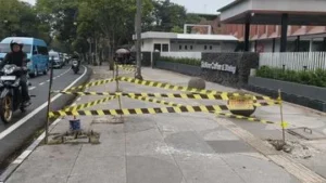 Polisi Buka Suara: Apa yang Terjadi dengan Penebangan Pohon Ilegal di Bandung?