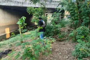 Tetangga yang Rampok Lansia di Cakung Ditangkap saat Tidur di Rumah: Kasus yang Mengherankan